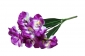 А276/3 Букет орхидей 9г., 50см, уп.20 - 22A