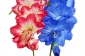 Ц101/4 Ветка гладиолуса 5 цветков, 2 бут. 50 см, уп.80 - 1D (Р)
