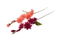 Ц101 Ветка гладиолуса 4 цветка, 2 бут. 50 см, уп.200 - 2B