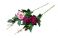 Ц303/2 Ветка розы остролистой 2г.+1 бут., 80 см, уп.36