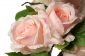 А291 Букет розы флористической круглой 7г., 45см, кор.48